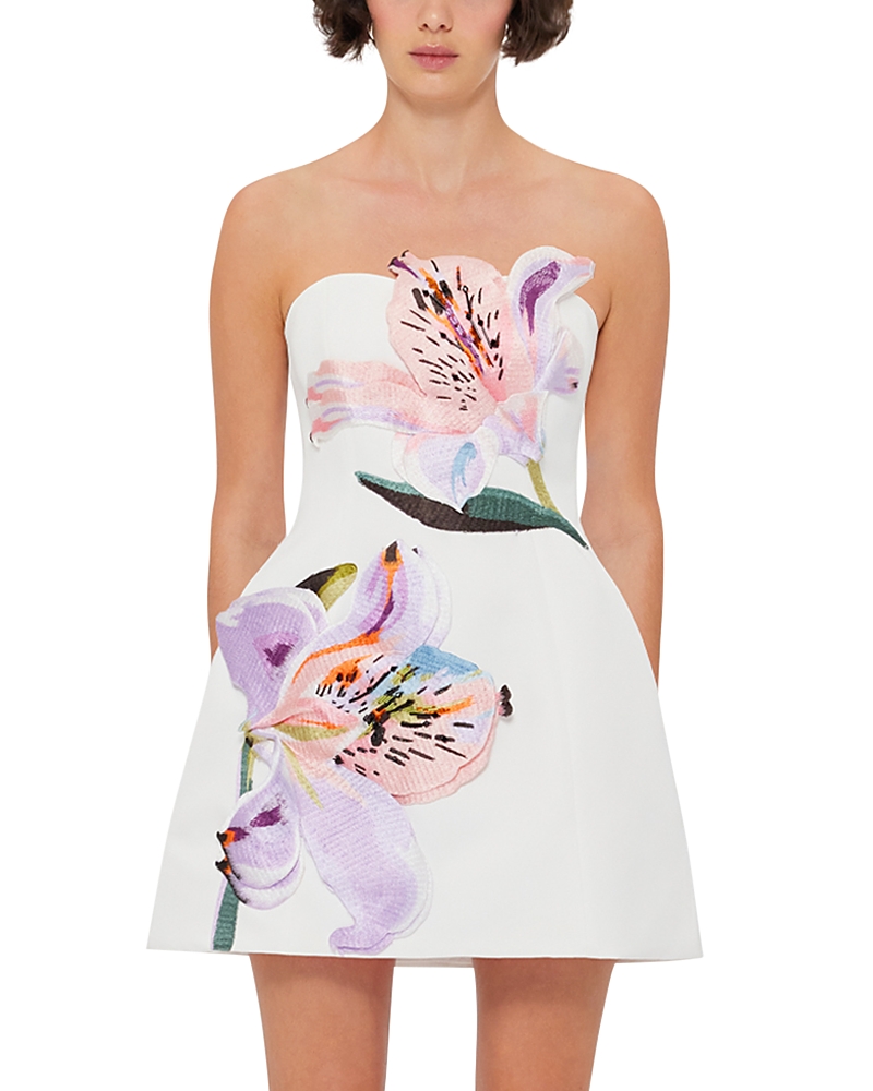 Shop Leo Lin Rosario Applique Floral Bustier Mini Dress