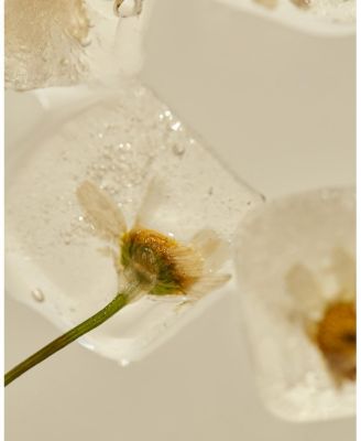 Relief Chamomile Cream