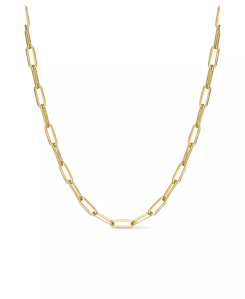 Ana Luisa Link Chain Laura Bold Necklace