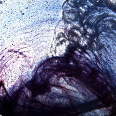 The Absolute Crystal Ruyi Figurine