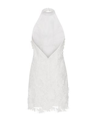 Olivia Rose Trellis Lace Dress
