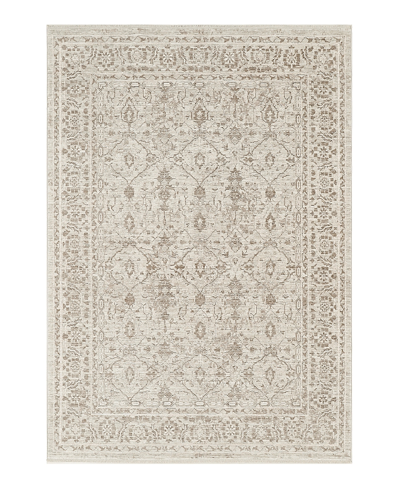 Nourison Home Shadows Shw04 Area Rug, 3'11 X 5'11 In Neutral