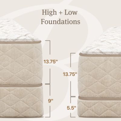 Harmonia Bellari Plush Mattress - Exclusive