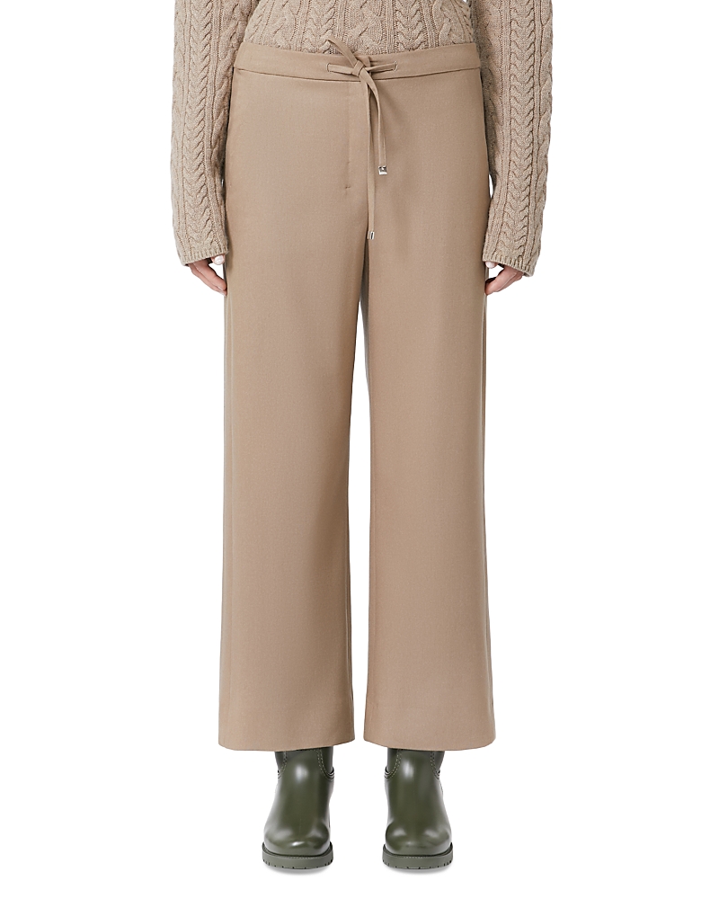 Max Mara Floria Drawstring Trousers In Brown