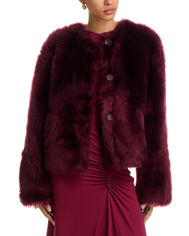 Simkhai Natasha Shearling Short Jacket In Burgundy