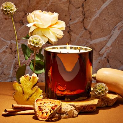 Pumpkin Ginger 3 Wick Scented Candle, 26 oz.