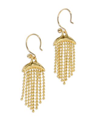 Solanales Crystal & Fringe Drop Earrings