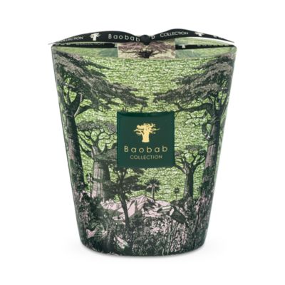 Max 16 Sacred Trees Touba Candle, 38.72 oz.