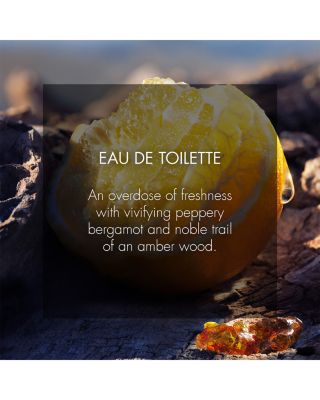 Sauvage Eau de Toilette 1 oz.