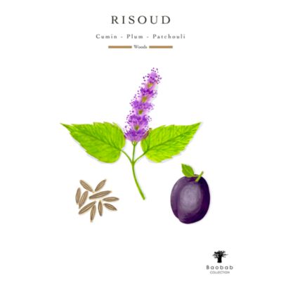 Totem Woods Risoud Reed Diffuser 67.62 oz.