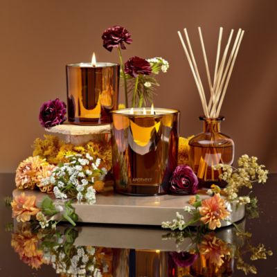Pumpkin Ginger Home Fragrance Collection