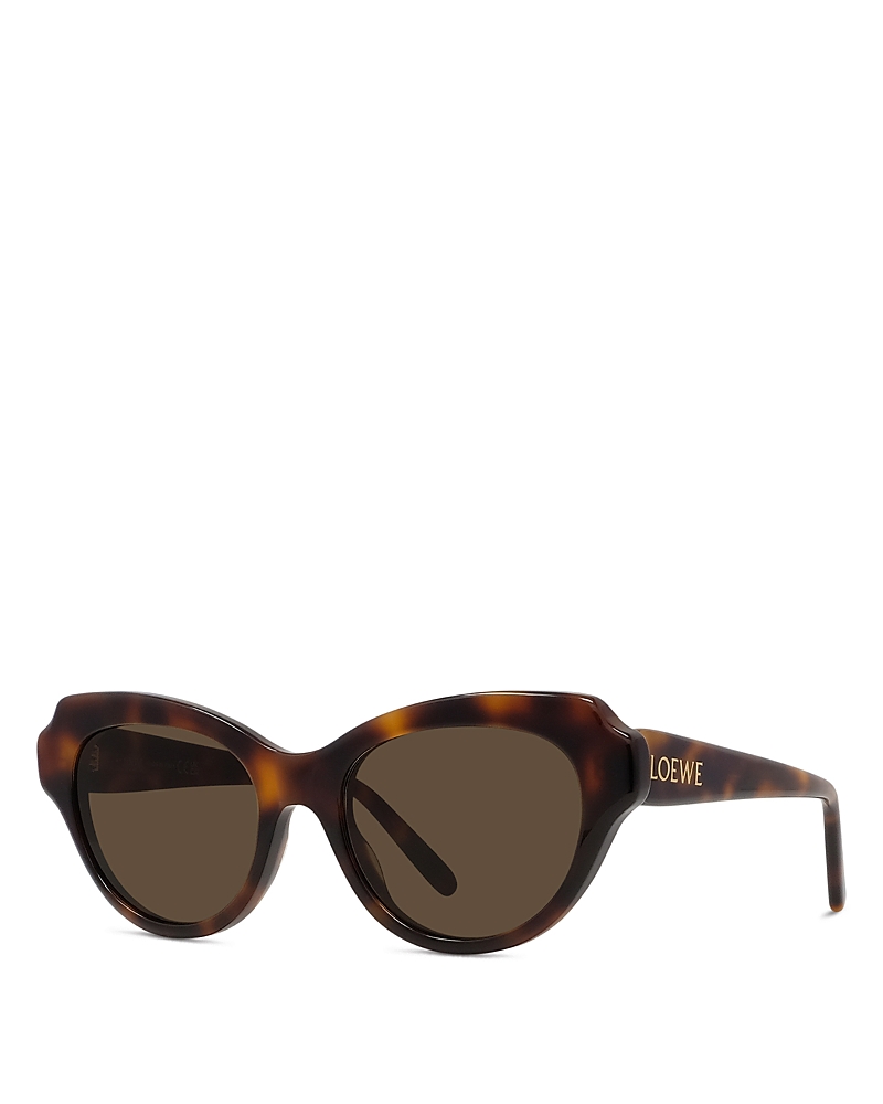 Loewe Full Frame Sunglasses In Brown