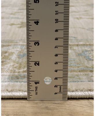 Oriental Weavers Maeve MAE10 Area Rug, 9'10"x12'10"