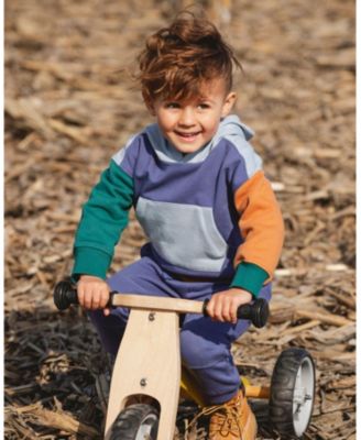 Boys' Long Sleeve Hooded Fleece Sweatshirt - Baby