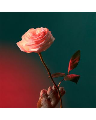 Liquid Love Eau de Parfum 1.7 oz.