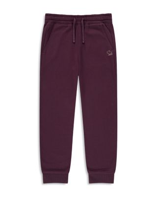 Boys' Essential Fleece Jogger Pants - Little Kid, Big Kid