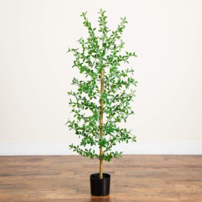5' Artificial Shady Lady Black Olive Tree