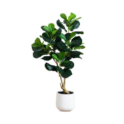 4&#39; Artificial Lush Fiddle Leaf Tree in Decorative White Planter