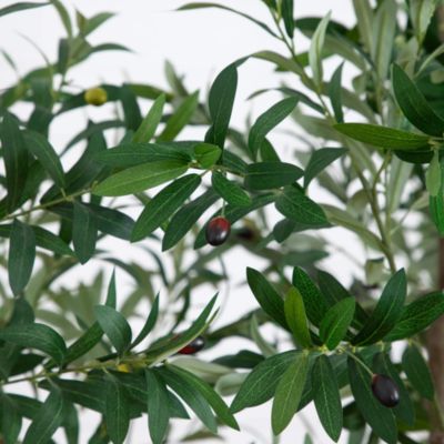 8&#39; Artificial Grand Olive Tree