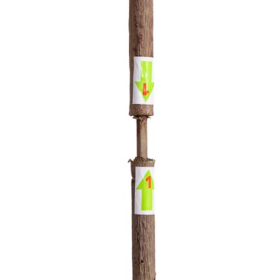 6' Artificial Slim Minimalist Olive Tree