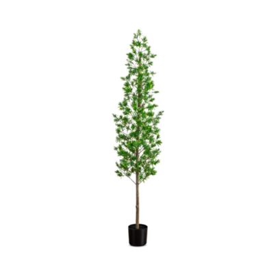 6' UV Artificial Podocarpus Tree