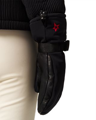 Davos Ski Mitts