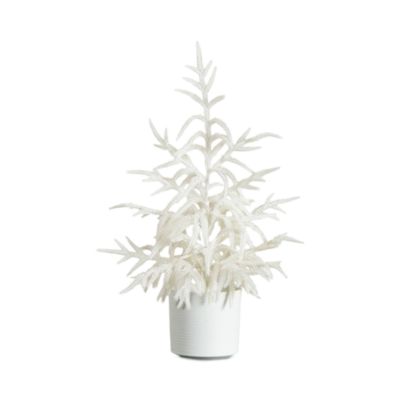 Natural Artificial Real Touch White Norfolk Island Pine 2&#39; Christmas Tree with Natural Look