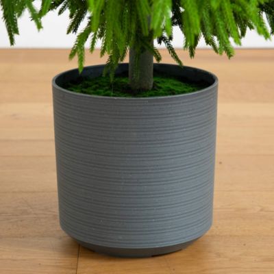 Artificial Real Touch Norfolk Island Pine 6' Christmas Tree with Natural Look