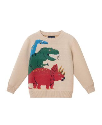 Boys' Multi Dinosaur Sweater - Little Kid, Big Kid