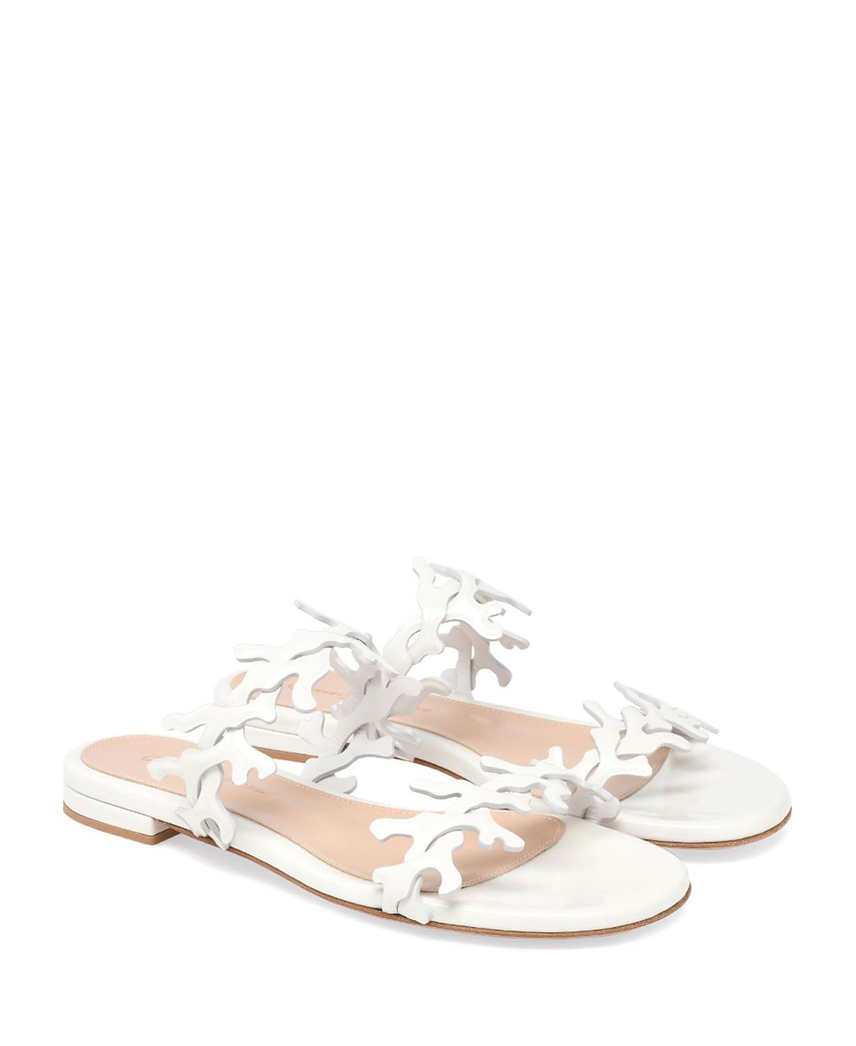 Gianvito Rossi Women's Ocean Mule