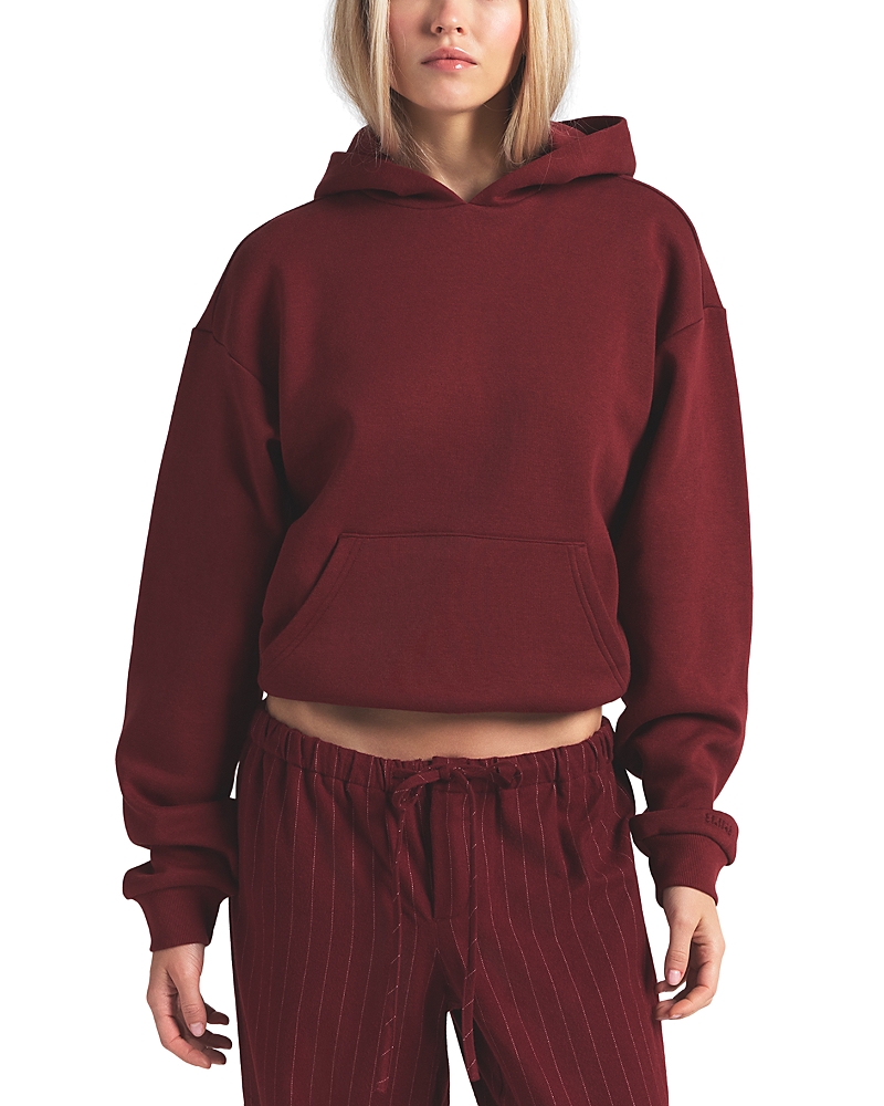 Skims Cloud Fleece Hoodie In Burgundy