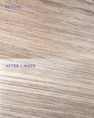 Moroccanoil Treatment Purple 1.7 oz.