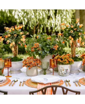  Berries in Patt Pot Arrangement