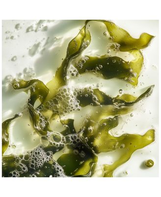 Bain Volumateur aux Algues Volumizing Shampoo 7 oz.