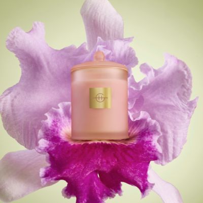 Radiance in Bloom Candle, 13.4 Oz