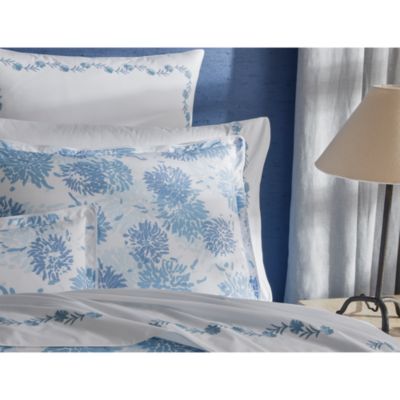 Chrysanthemum Bedding Collection