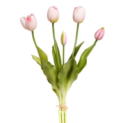 Blooming Tulip Bunch, Set of 6