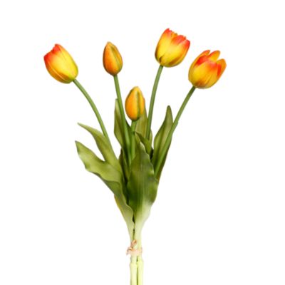 Blooming Tulip Bunch, 6 Bunches