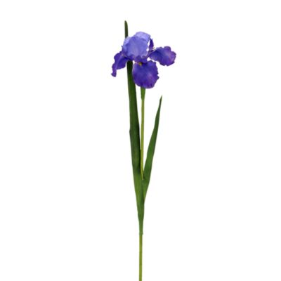 Iris Stem, Set of 12