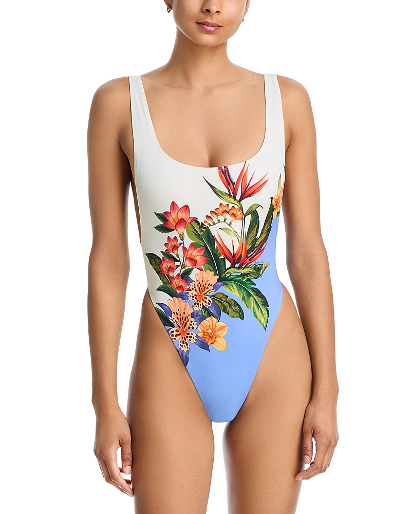 Farm Rio Hilo One Piece Swimsuit