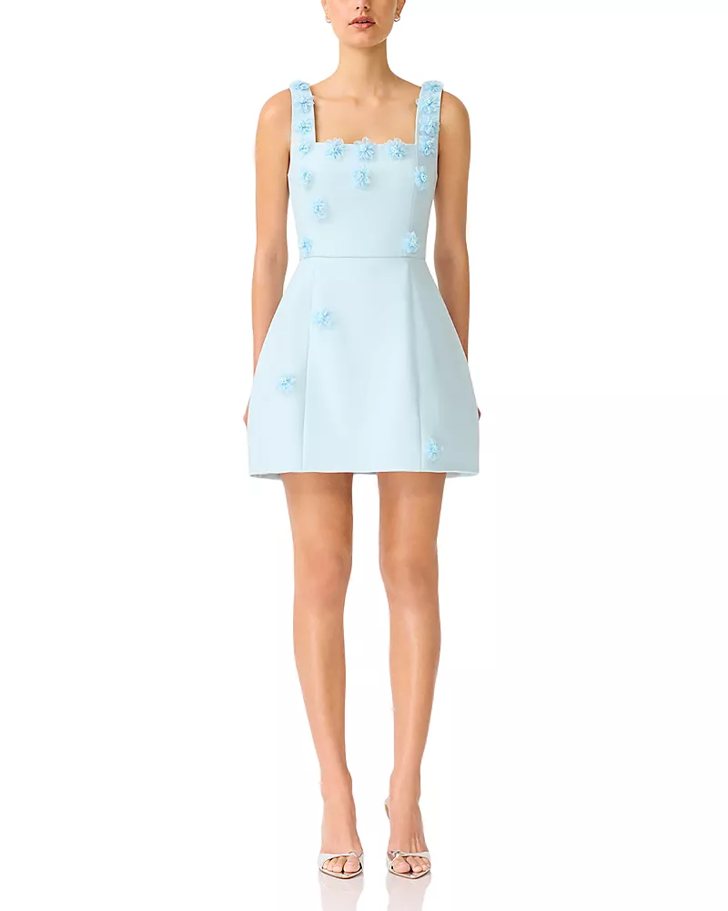 Elliatt Iliana Mini Dress
