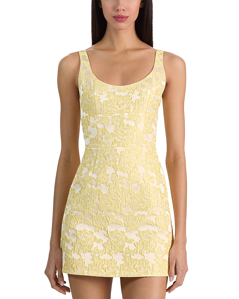 Alice and Olivia Charlotte Mini Dress