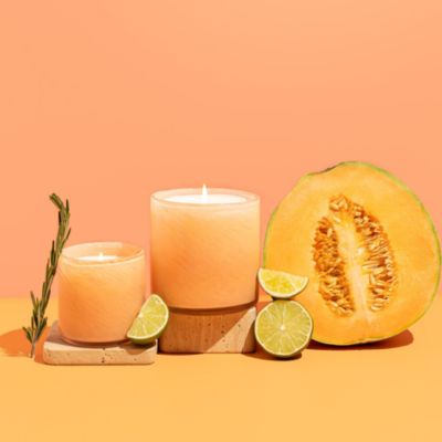 Paloma Melon Classic Candle, 6.5 oz.