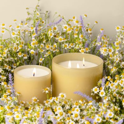 Chamomile Lavender Signature Candle, 15.5 oz.
