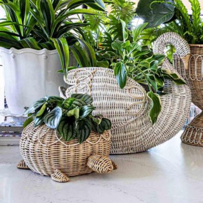 Provence Rattan Collection