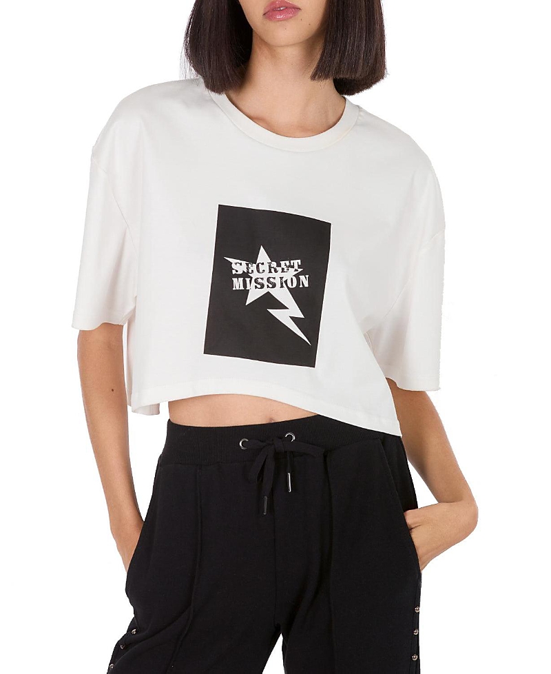 Secret Mission Vincent Tee