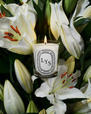 Lys (Lily) Classic Candle 6.7 oz.