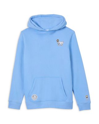 Boys' OG Hooded Sweatshirt - Little Kid, Big Kid
