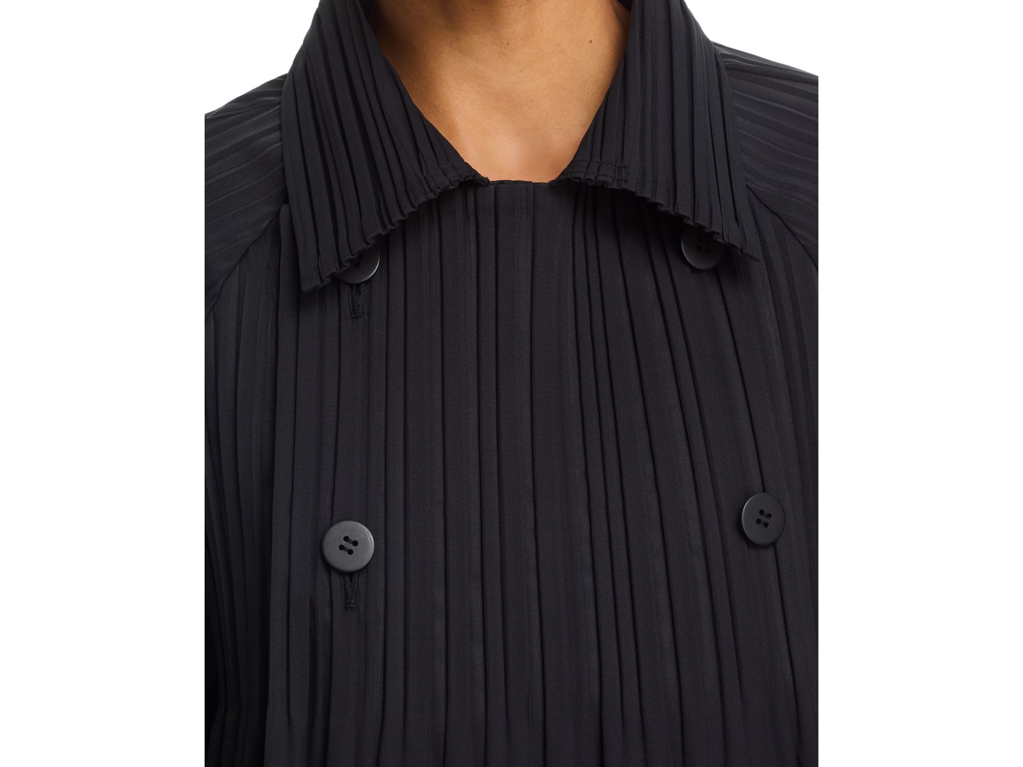 Smooth Coat — Image 5