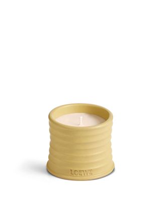 Honeysuckle Scented Candle 5.8 oz.